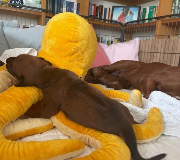 2e7e2708-4642-44c5-8b18-a5575b5e19e6