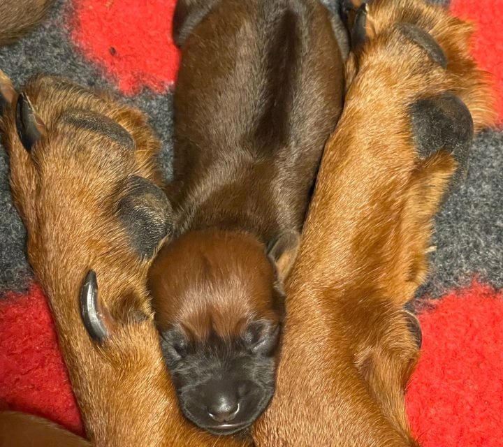 7c395bae-1ea2-4cc7-b948-596110ef9b19