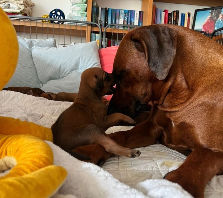 9c4e9e20-96f2-4c7c-bb58-813ba599615c