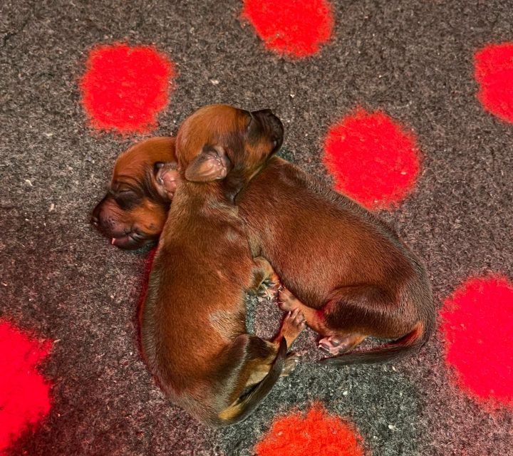 fa1e80fd-5bc2-4f3c-b6b0-9ad7e1ac6307