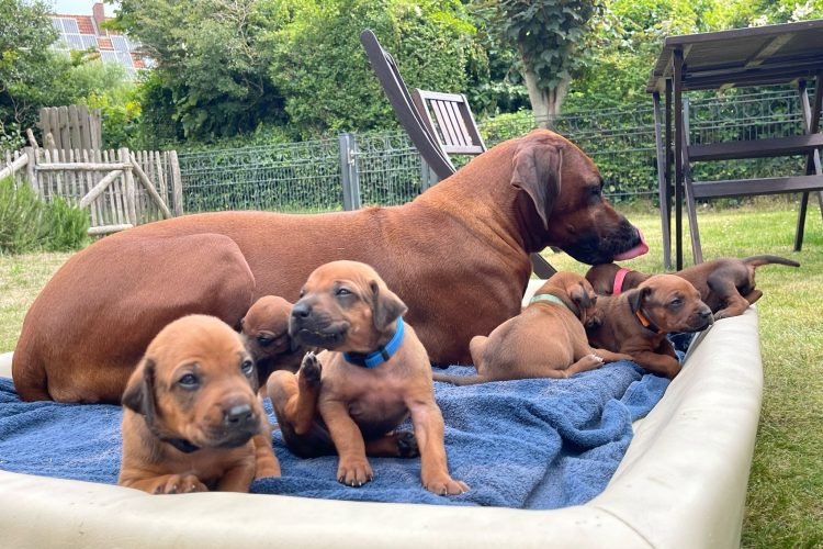 Erste Landpartie mit Mama am 22.6.