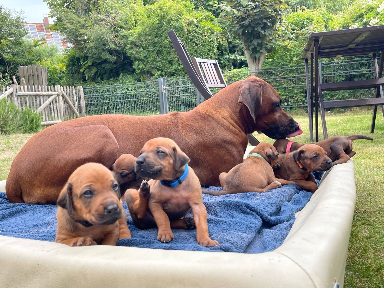 Erste Landpartie mit Mama am 22.6.