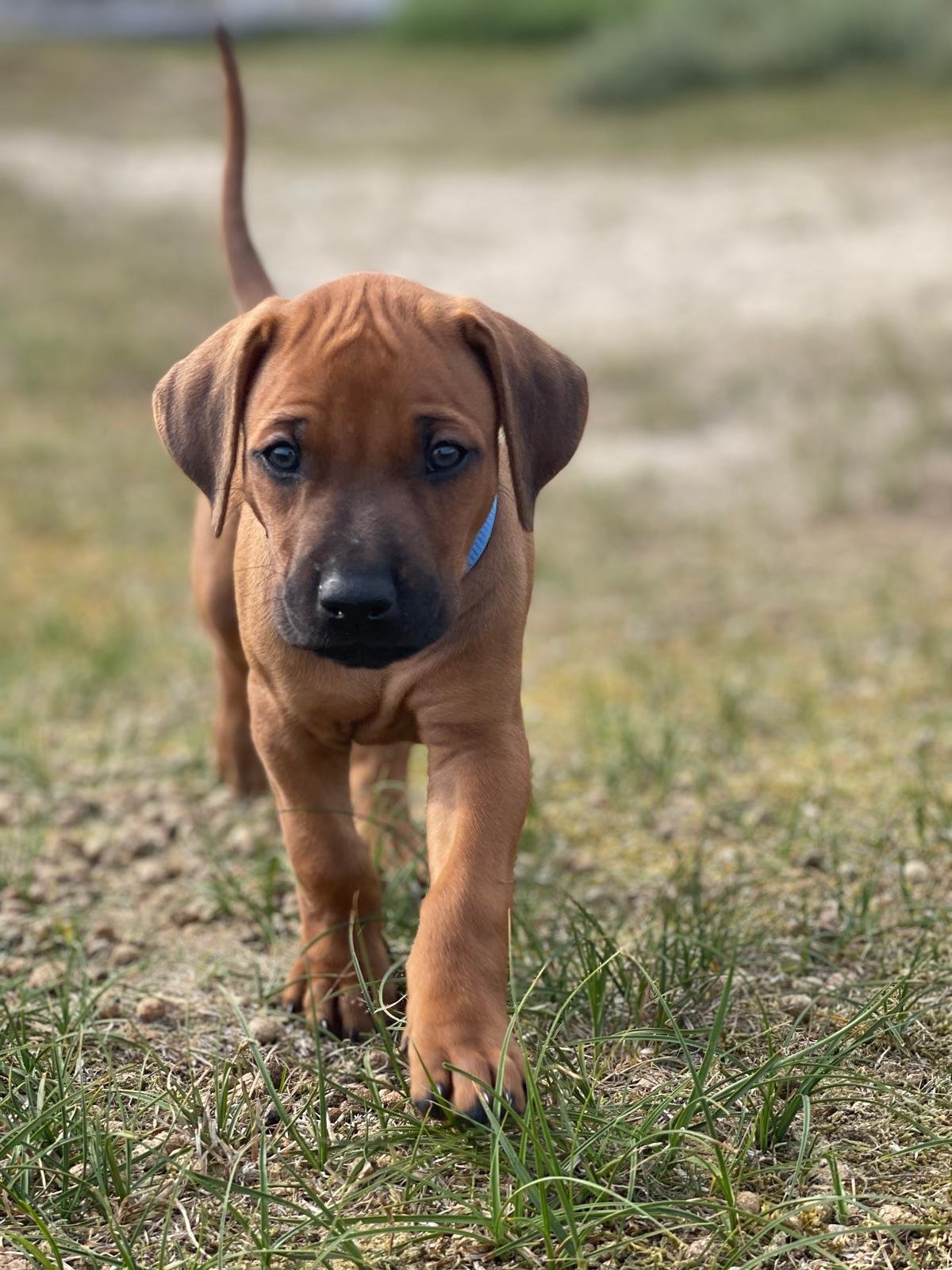 Zweite Fahrt ins Grüne